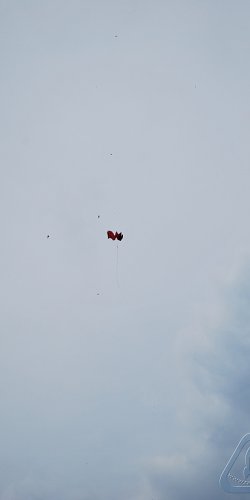 2014 Suche Karel Jerabek